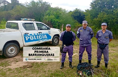 Imagen Noticia